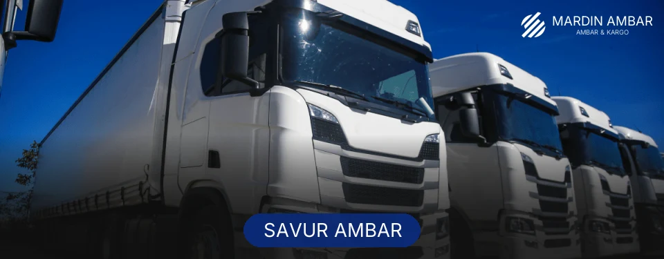 Savur Ambar