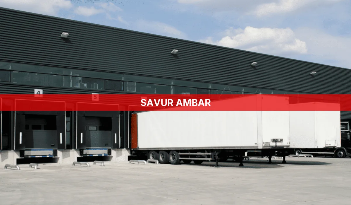 Savur Ambar